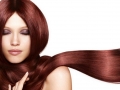 Four Seasons Beauty